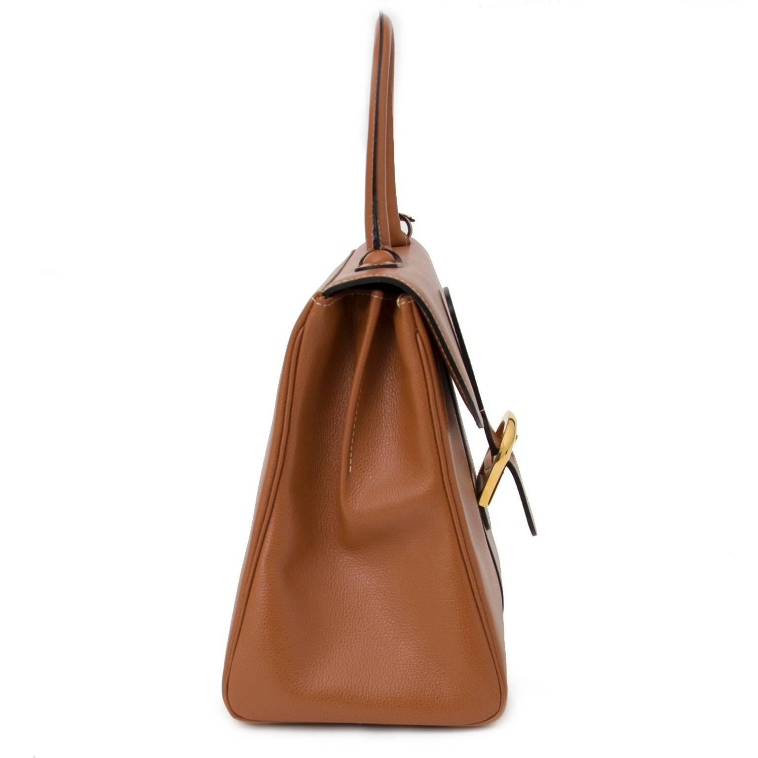 Brown Delvaux Brillant MM Jumping Fauve
