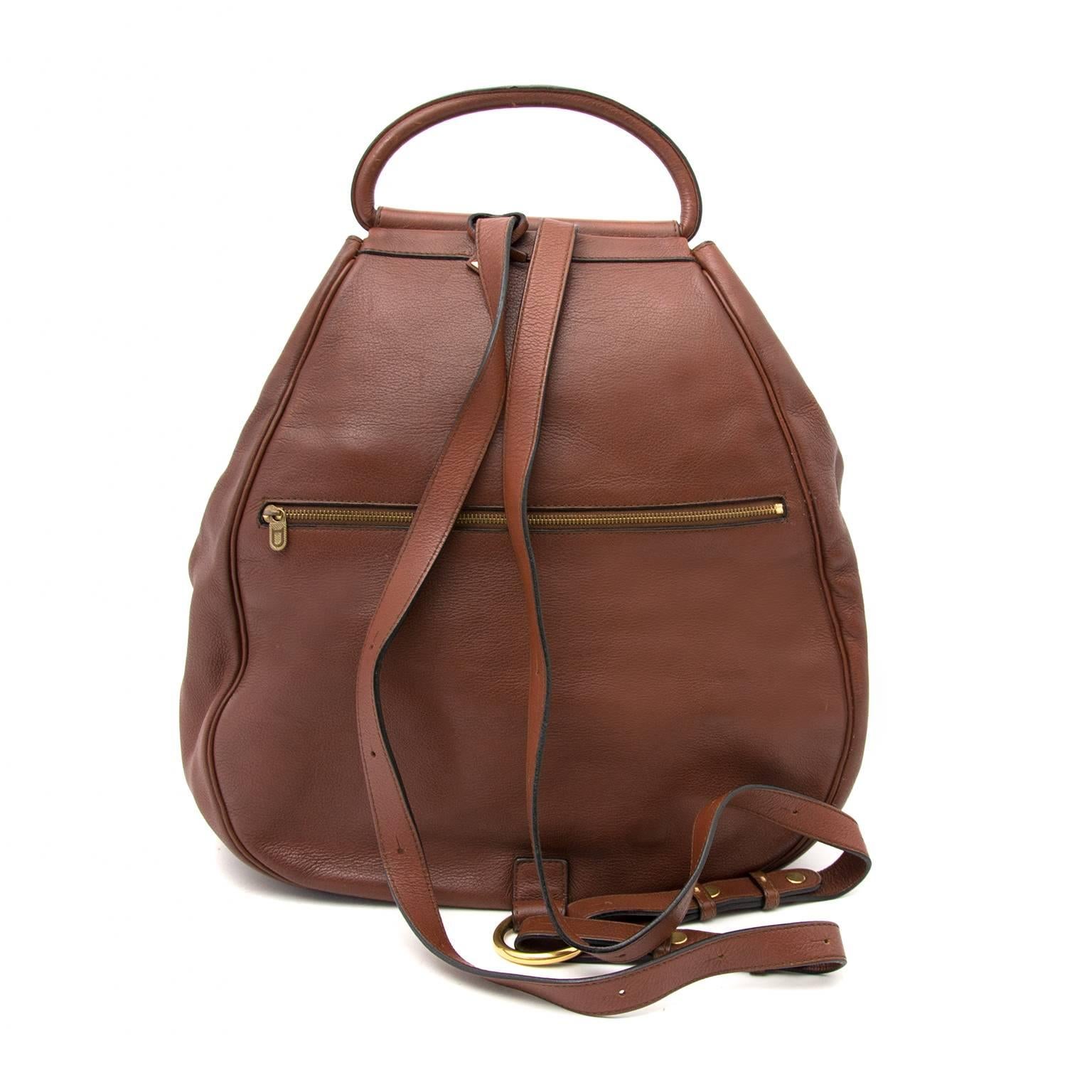Brown Delvaux Cerceau Chestnut GM