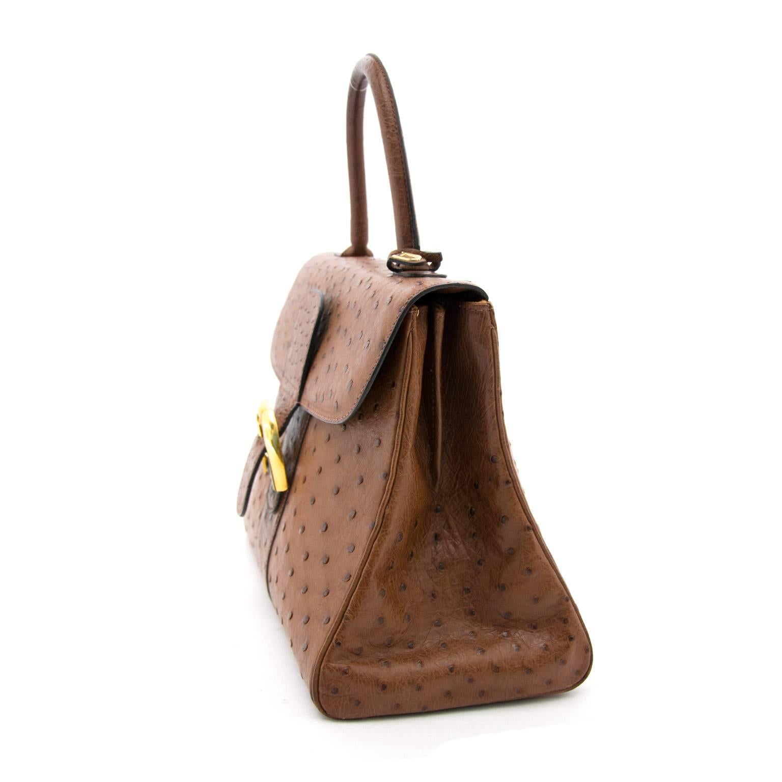 Brown Delvaux Brillant MM Ostrich Tabac