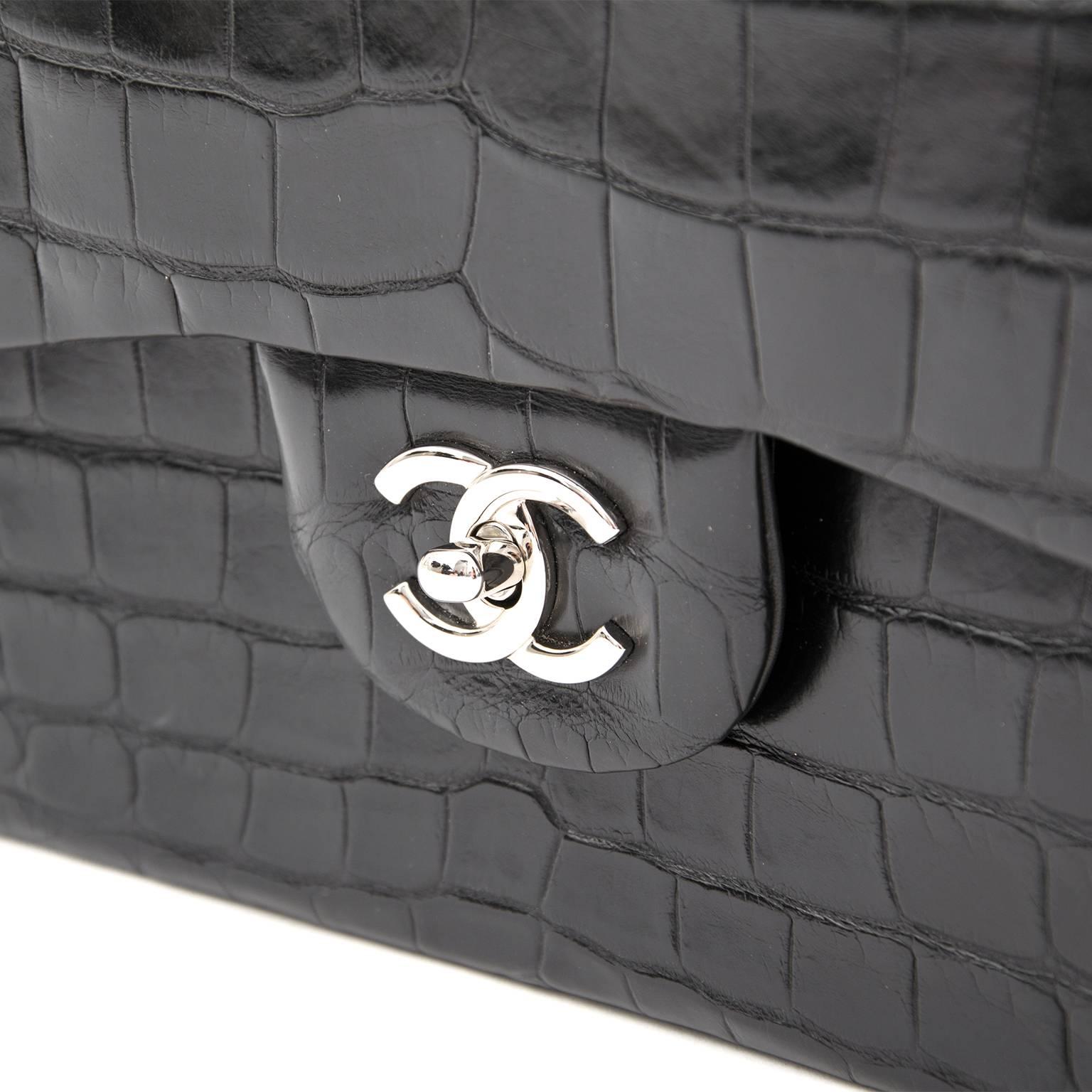 alligator chanel bag