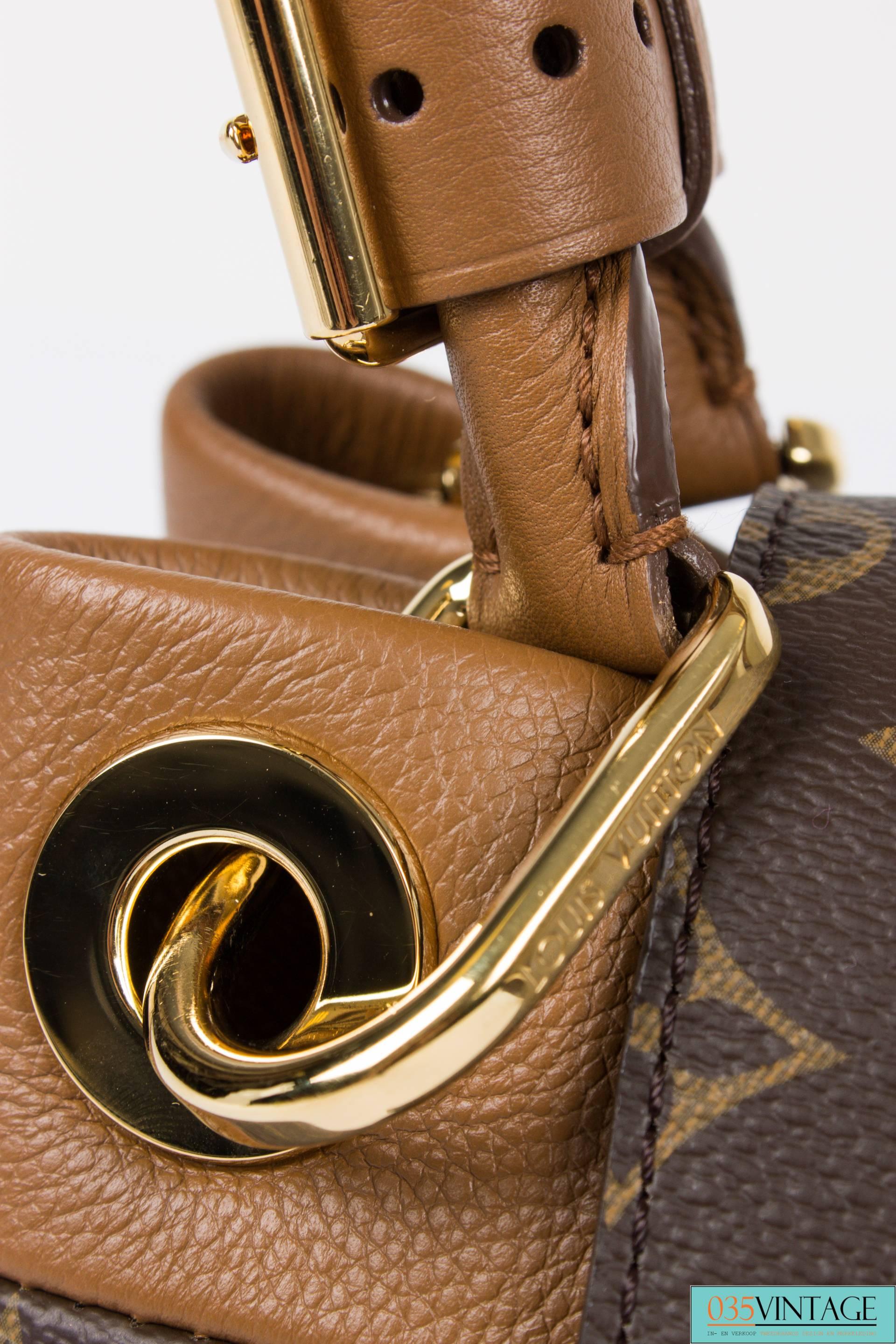 Louis Vuitton Monogram Olympe Bag 1