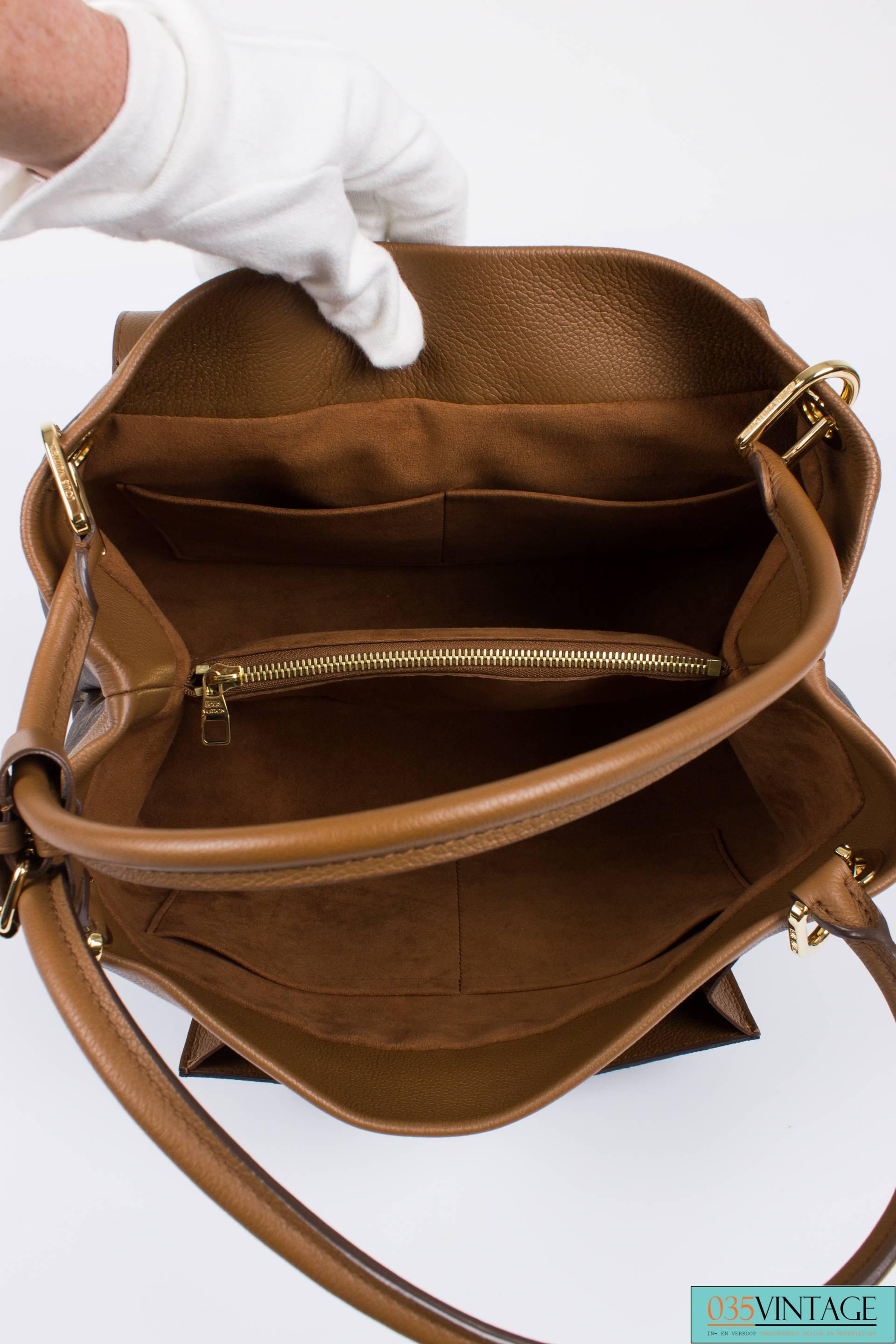 Louis Vuitton Monogram Olympe Bag 2