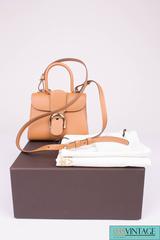 Delvaux Brillant Mini S Rodéo Bag - camel grained leather
