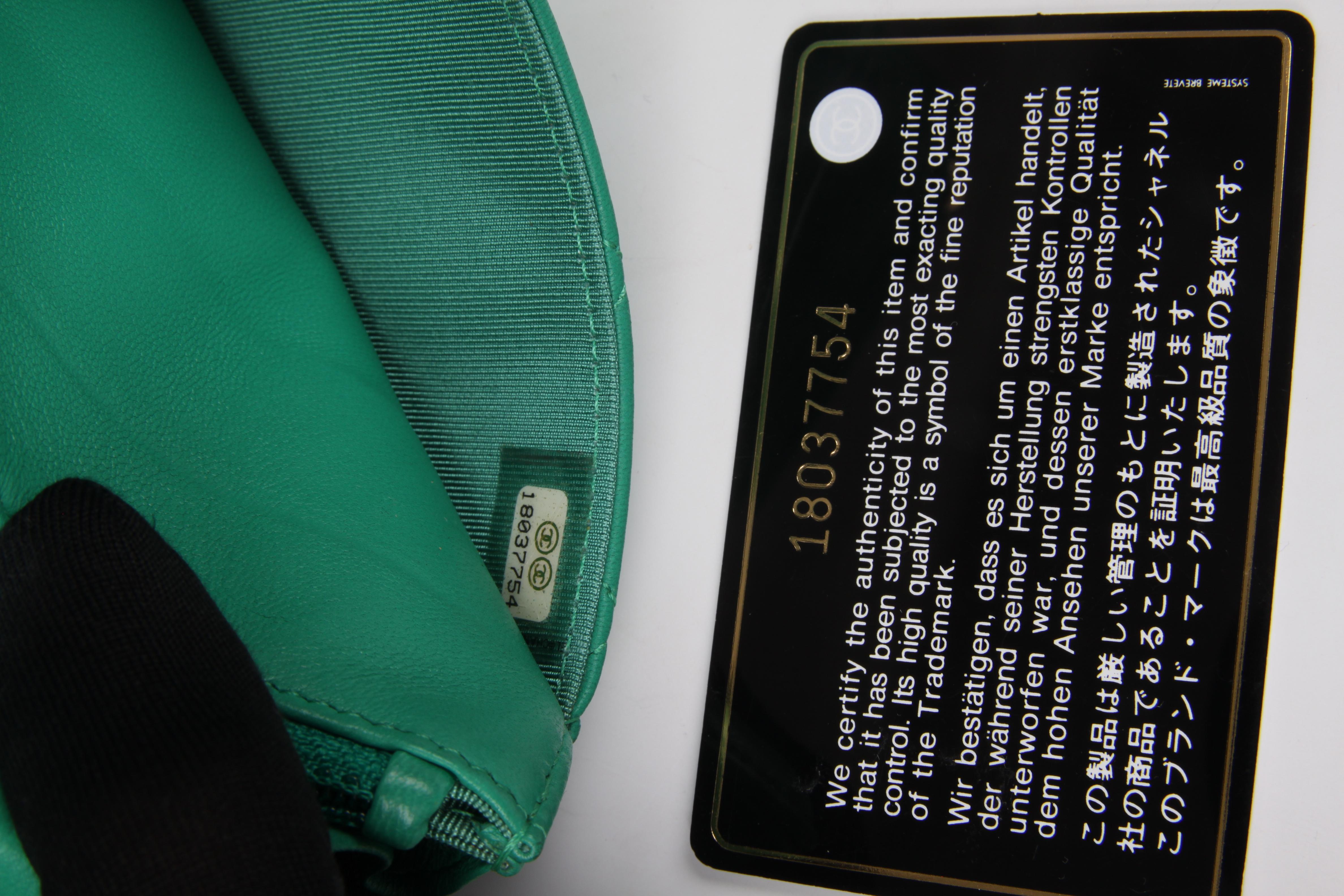 Chanel Wallet On Chain WOC Bag - green / silver 4