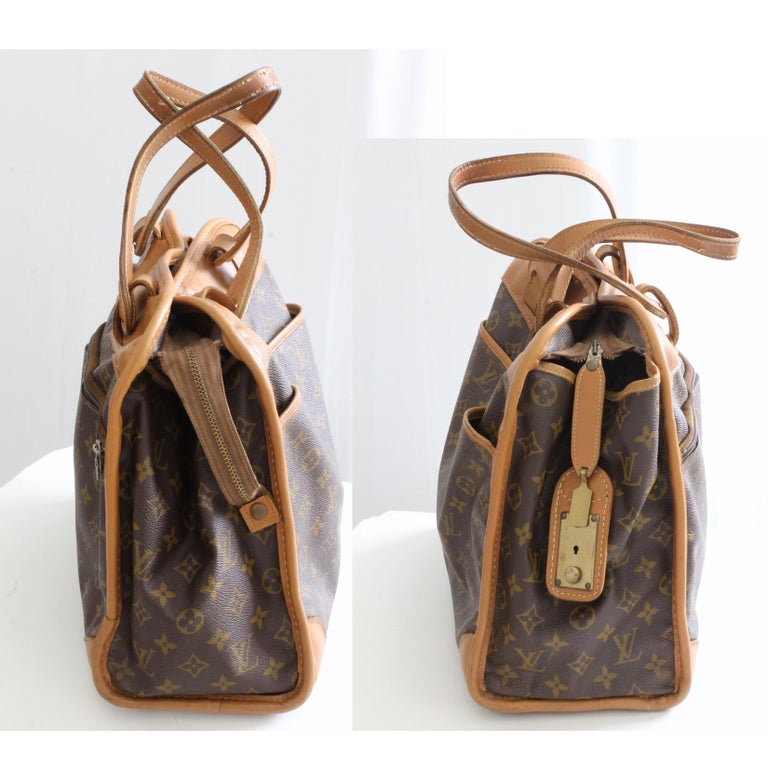 carry on bag louis vuitton