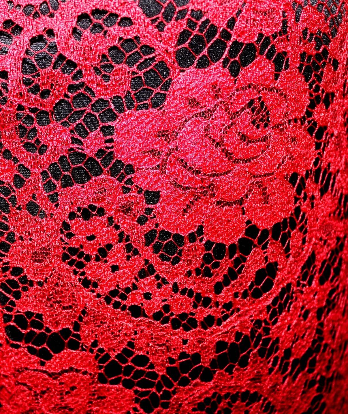 Women's Stunning Dolce Gabbana Red Lace & Silk Evening Gown Maxi Dress