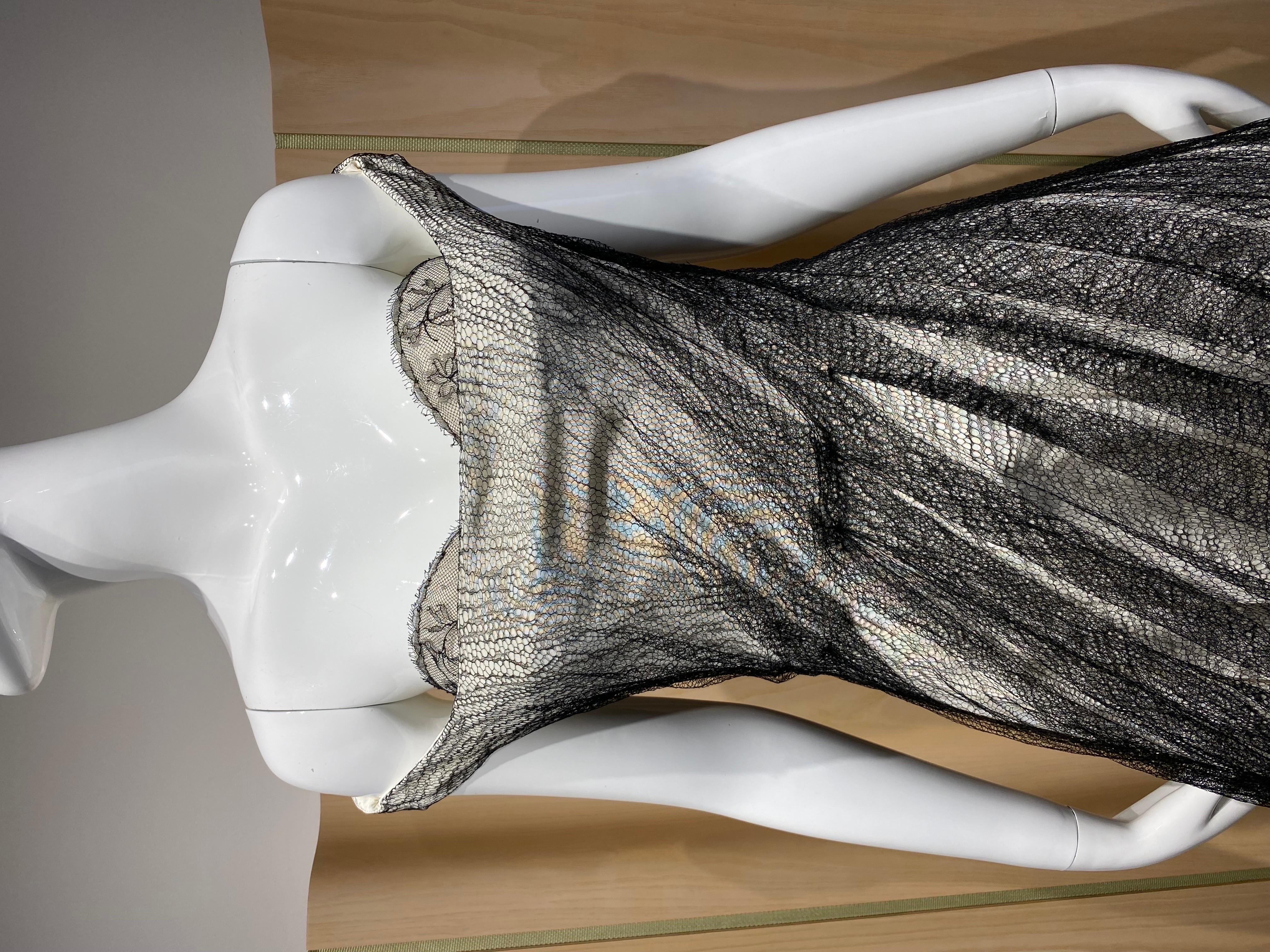 Alexander McQueen Tulle Overlay Runway Dress, 2007 2