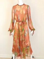 1970s Anna Weatherly Bohemian silk chiffon long sleeve dress
