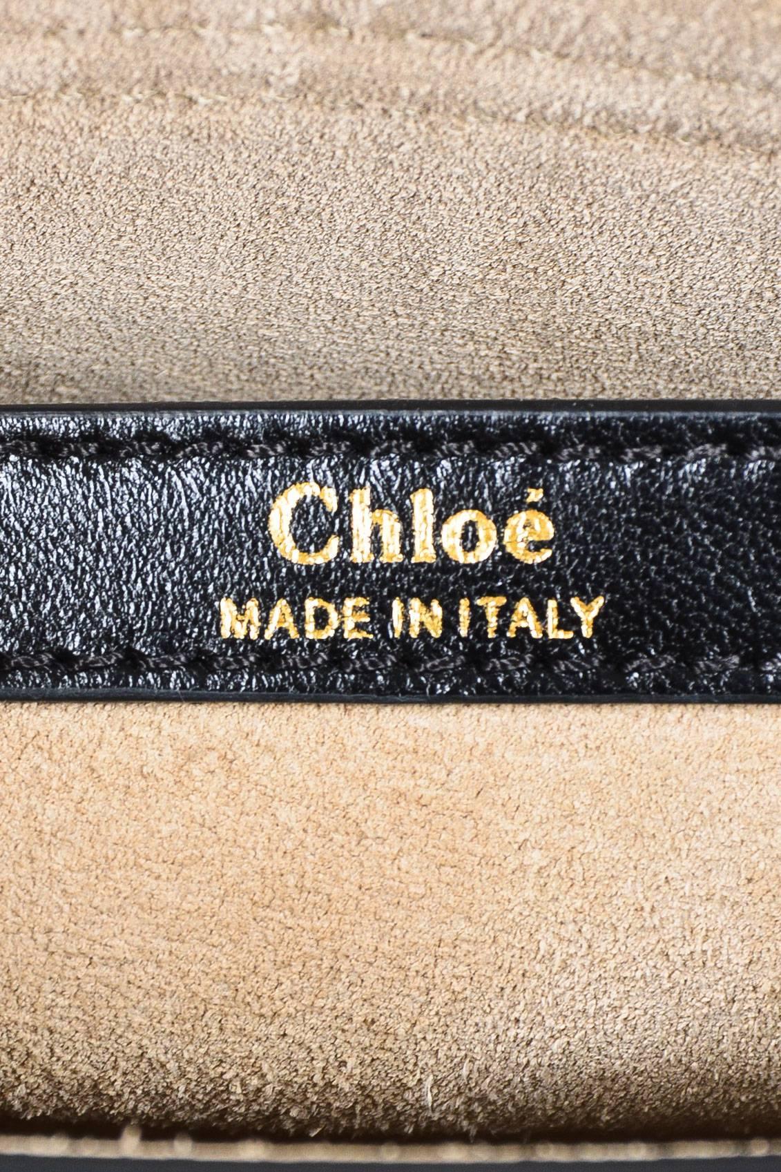 Chloe NWT $3250 Black Green Maroon Leather Python 