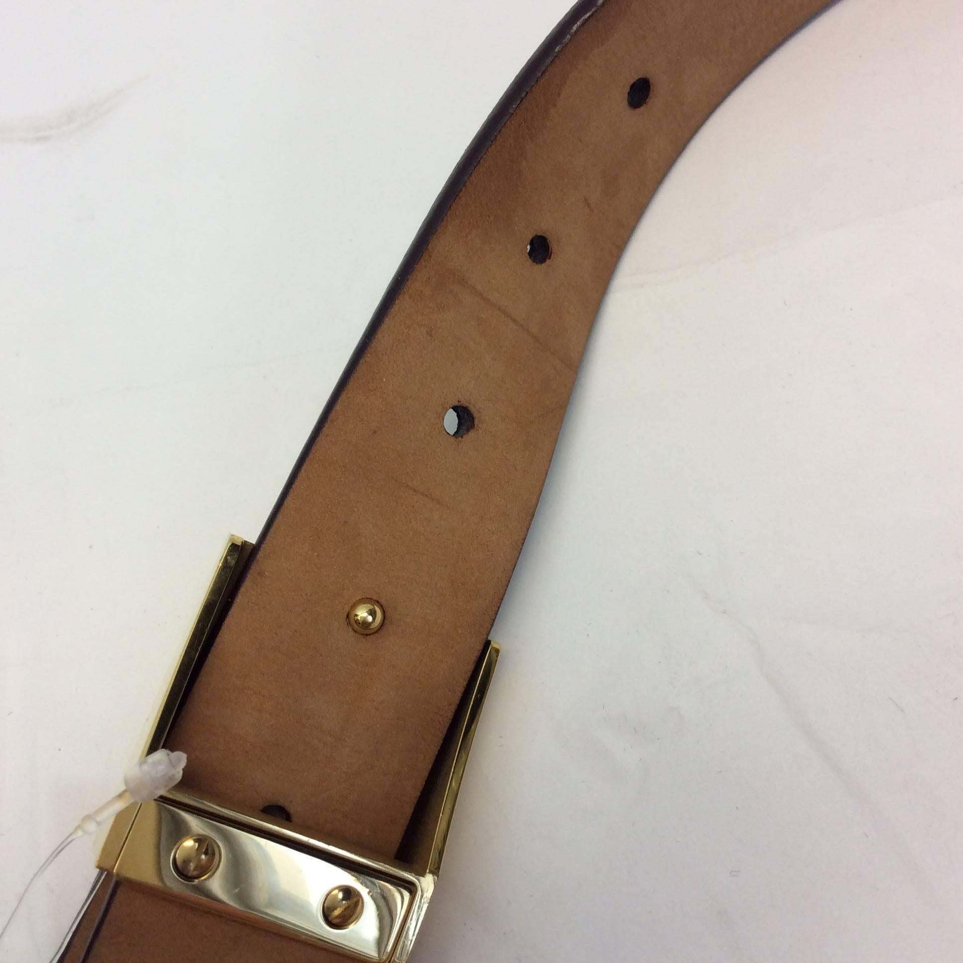 Louis Vuitton Brown Damier Belt with Gold Hardware For Sale 2