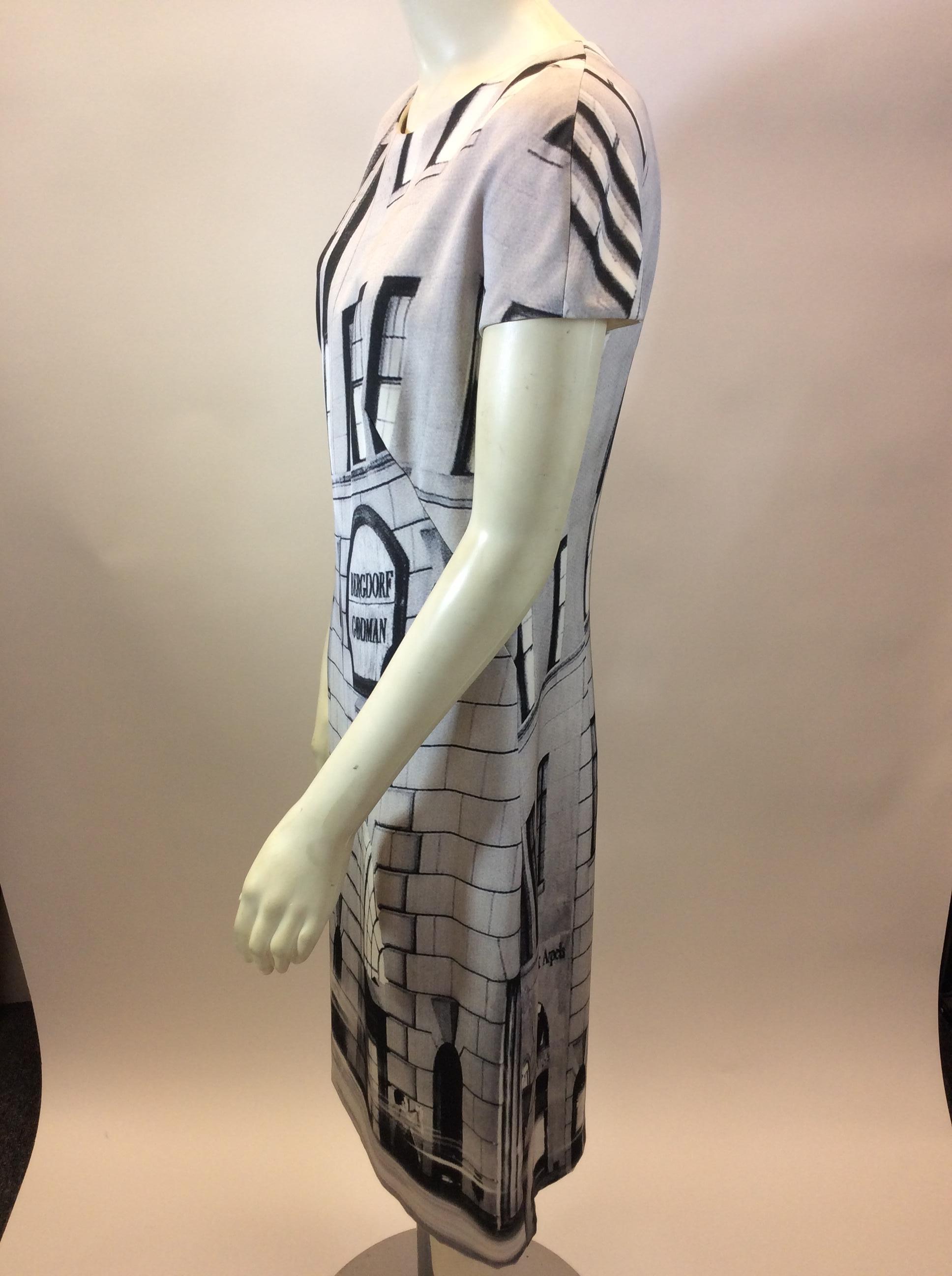 Akris Limited Edition Bergdorf Goodman Silk Dress
$250
100% Silk
Size 12
Length 41