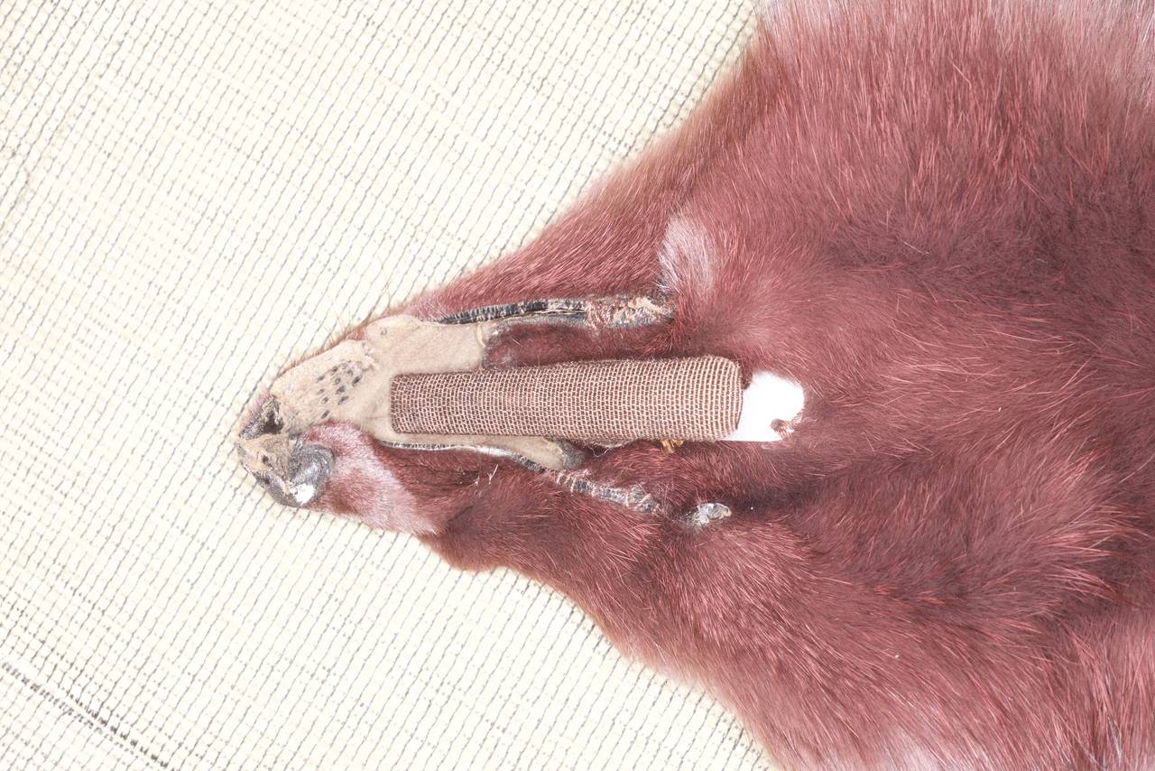 Plum Colores Fox Fur Collar/Stole In Excellent Condition For Sale In New York, NY