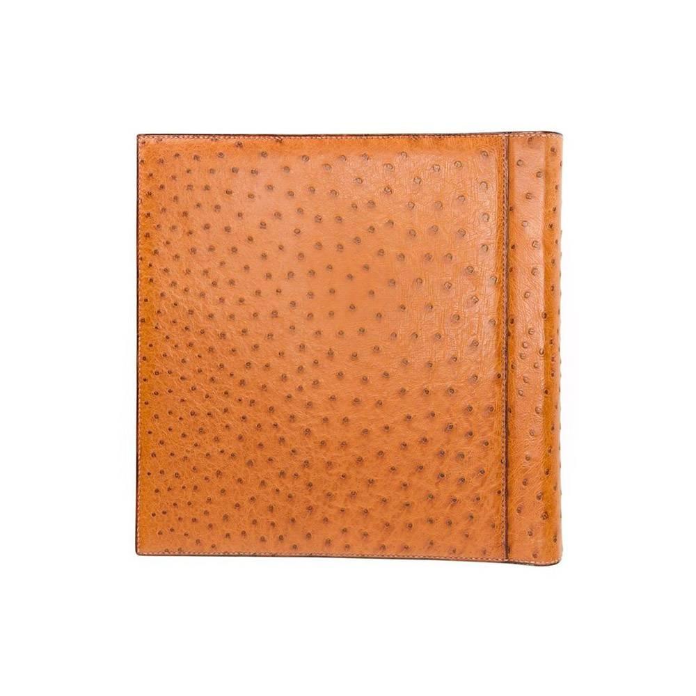 Gold Hermes rarity gold ostrich leather album 90s For Sale