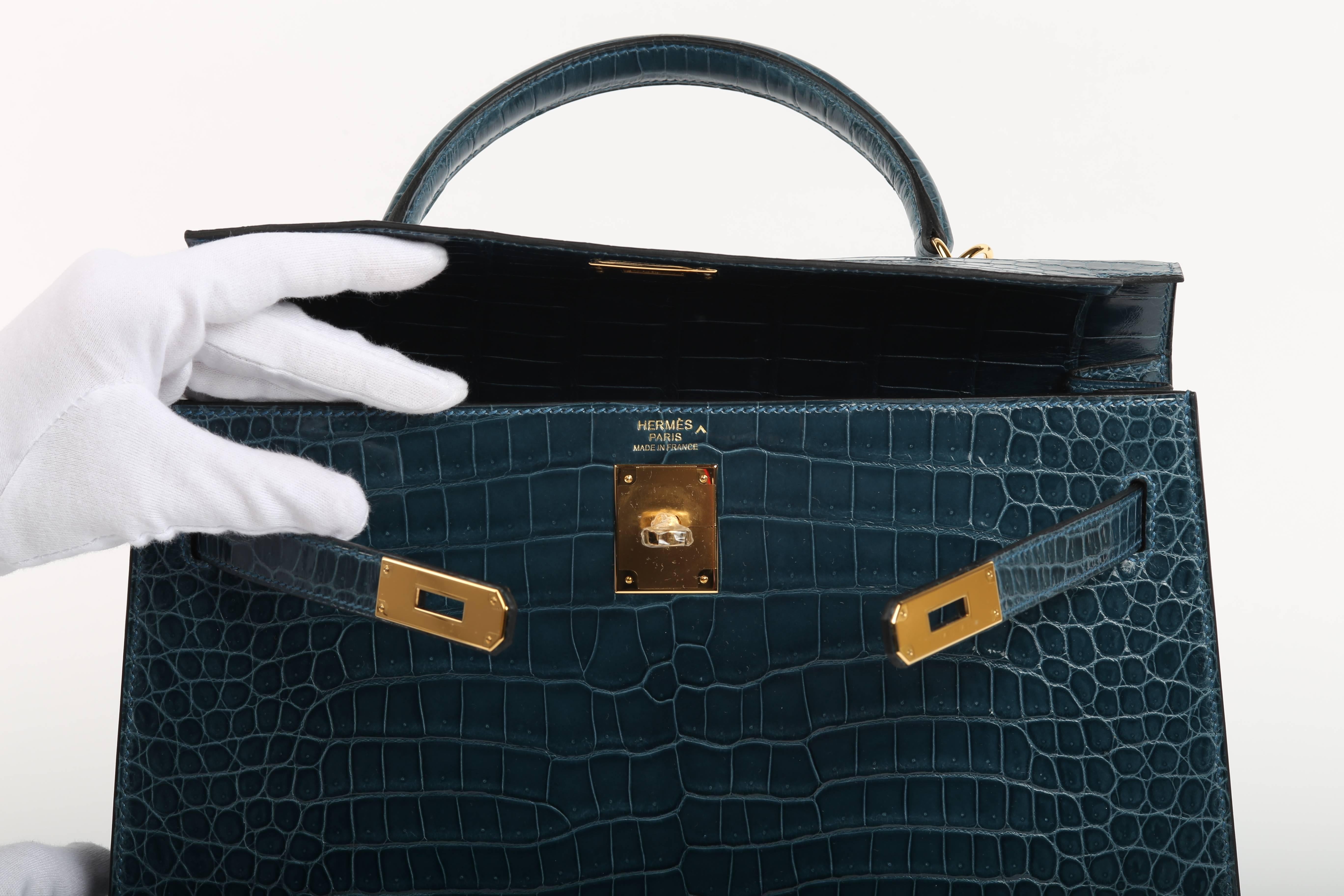 Kelly Blue Roy 32 cm Niloticus Shiny Crocodile with GoldHDW For Sale 2