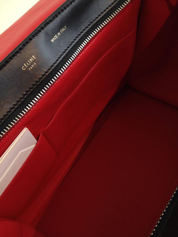 Celine Red and Sky Blue Pony Hair Trapeze Bag at 1stDibs celine