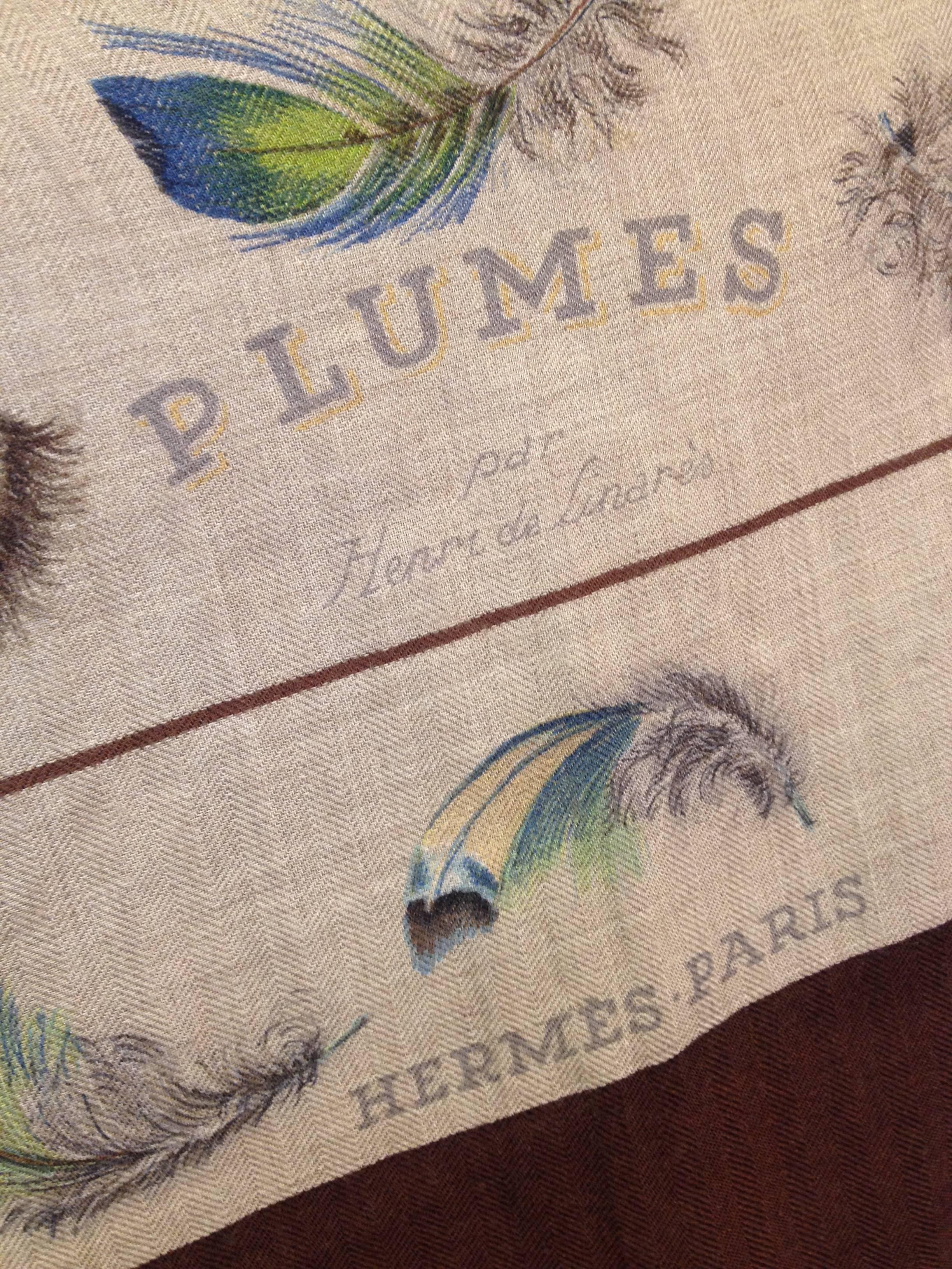 Hermes Plumes Shawl 4