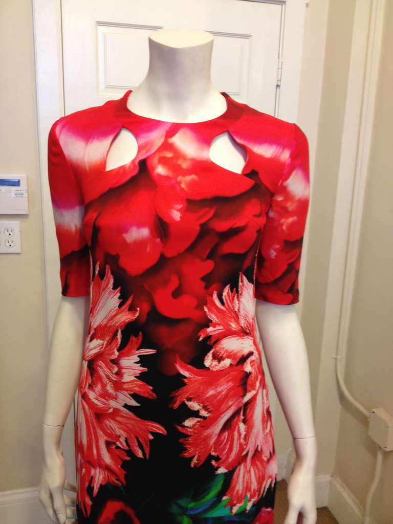 This dress is in full bloom. A gorgeous, saturated red carnation print spreads out across the body of the dress, dissolving into black with green leaves at the bottom. The half-sleeves and fitted shape of the dress make it a perfect unexpected