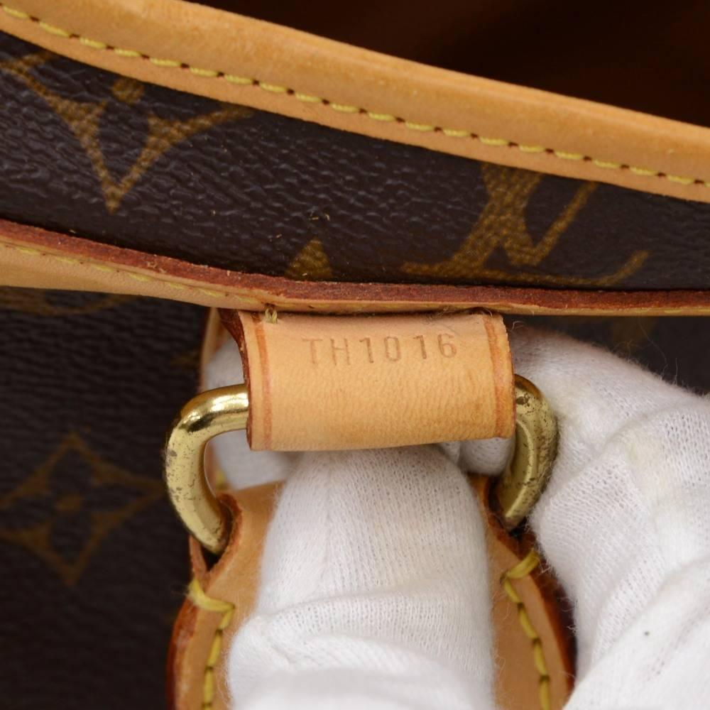 Louis Vuitton Sac Chaussures 40 Monogram Canvas Pet Carry Bag 4