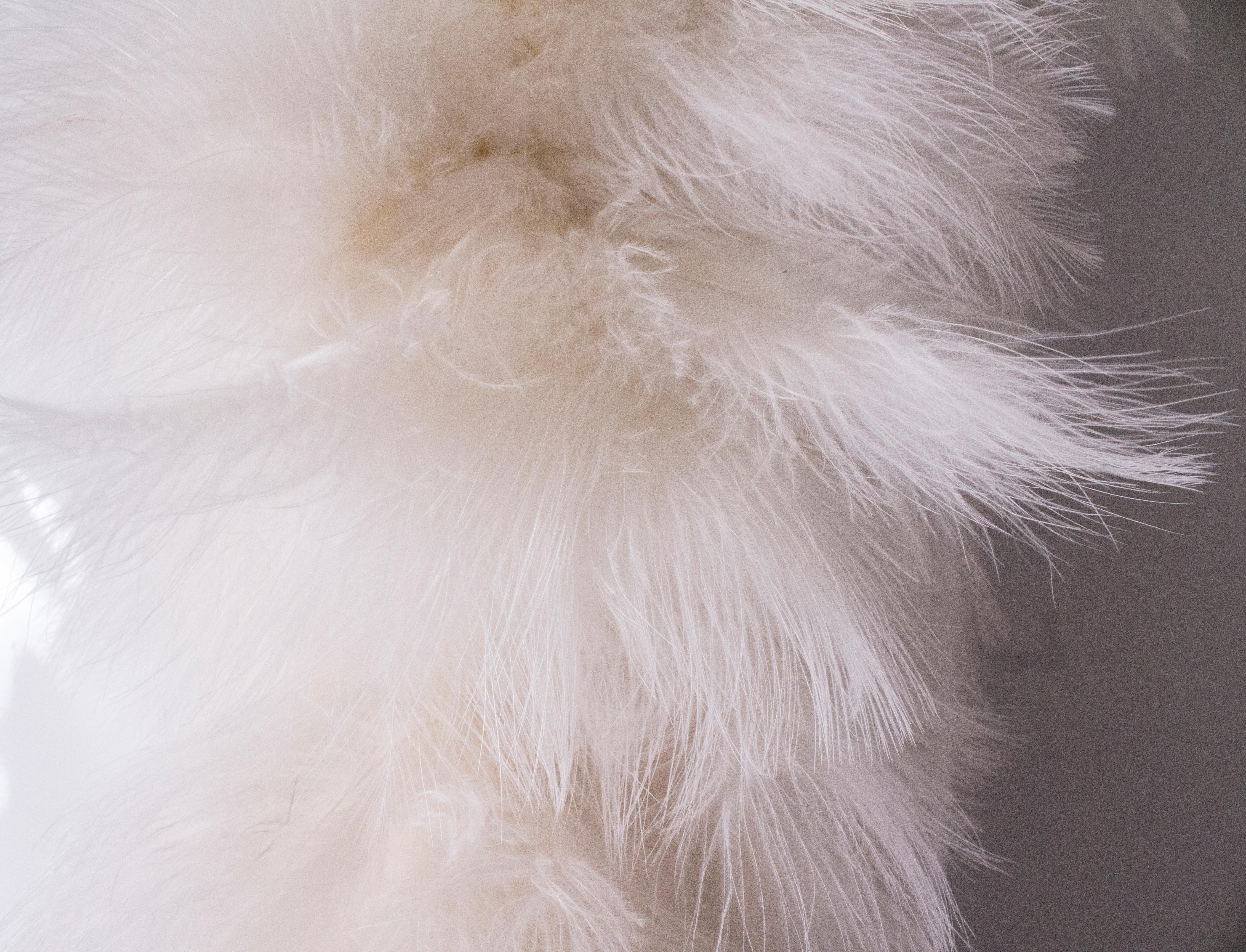 White Ostrich Feather Vintage boa 5