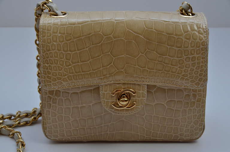 A SUPER RARE opportunity to purchase a Chanel crocodile bag, part of the 