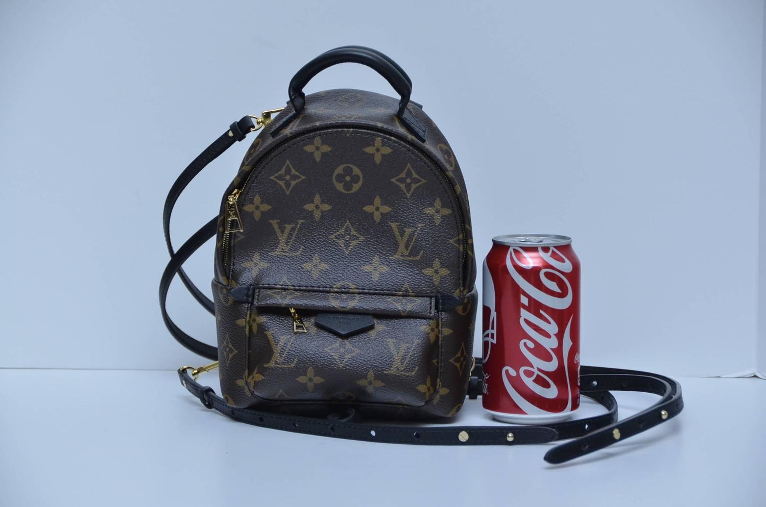 LV Louis Vuitton Palm Springs Backpack Mini SOLD OUT New at 1stdibs