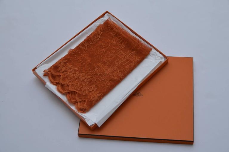 Amazing Rare HERMES Lace Scarf With Hermes Paris Embroidery New at 1stDibs