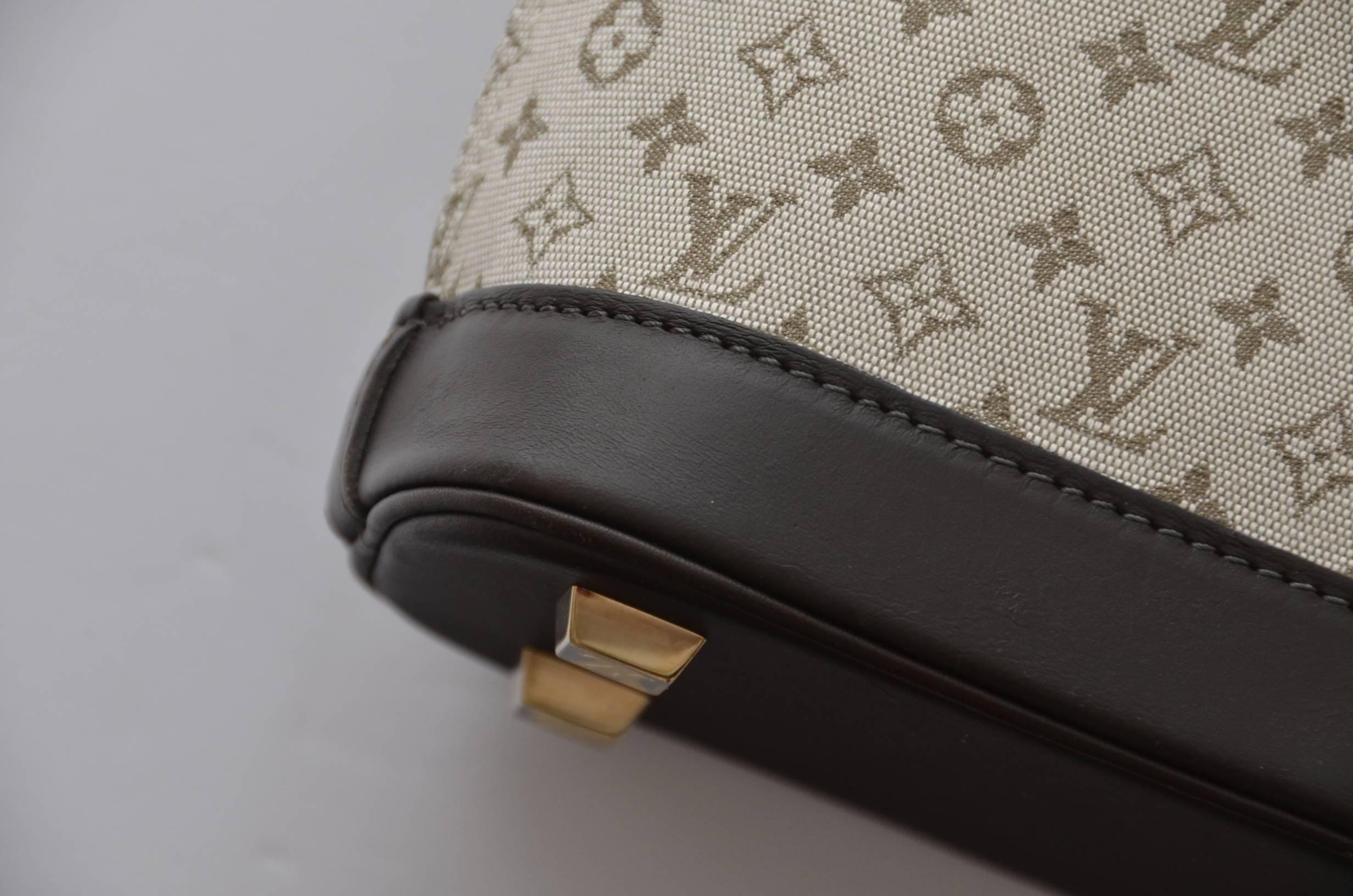Gray Louis Vuitton Canvas Handbag