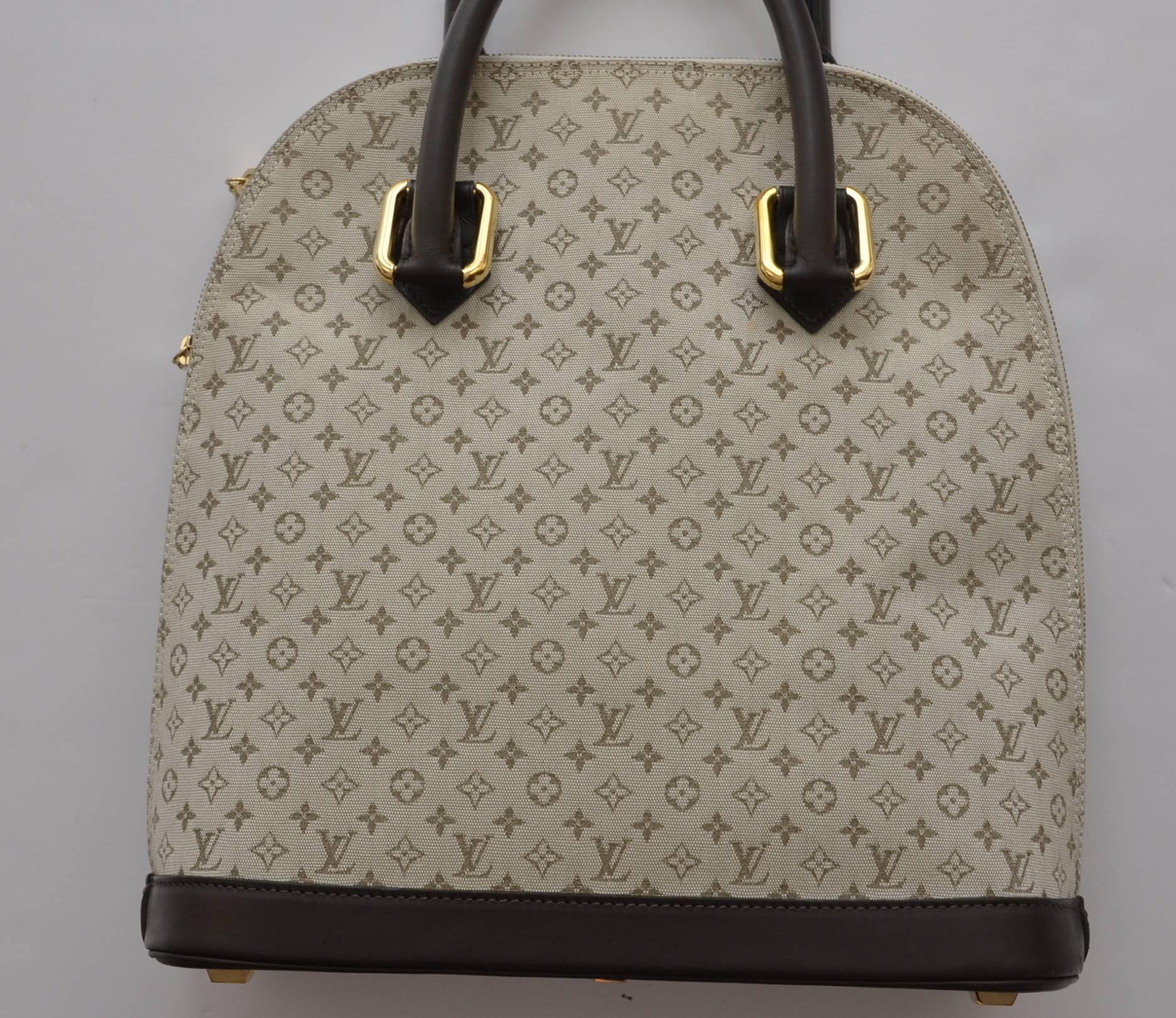 Louis Vuitton Canvas Handbag 1