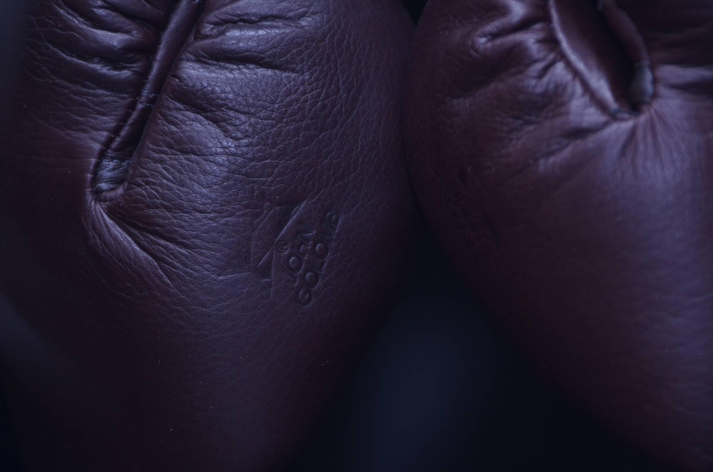 muhammad ali boxing gloves