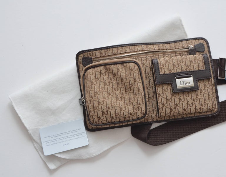 dior bum bag women's