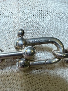 TIFFANY Sterling Silver Small HardWear Link Necklace