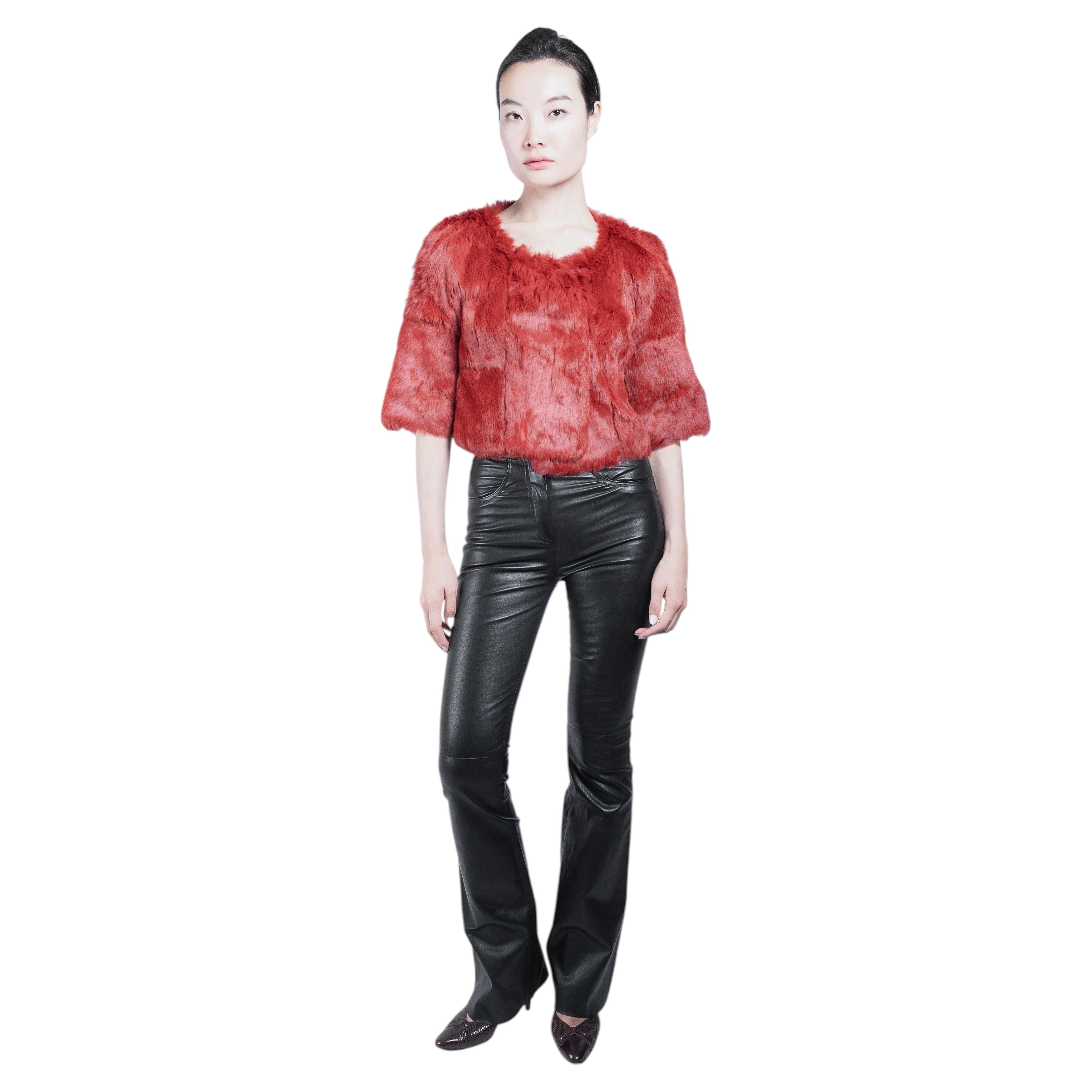 Coniglio rosso scarlatto, stile vintage anni 2000