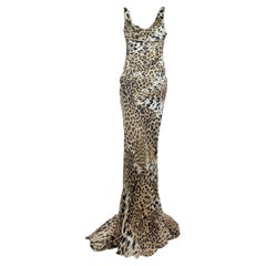 Roberto Cavalli Prefall 2010 Look 11 Maxi chiffon leopard dress