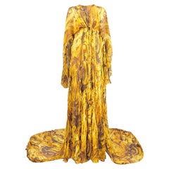 Roberto Cavalli Fausto Puglisi Prefall 2025 Look 24 Maxi chiffon cape dress