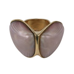 Marguerite Stix Double Shell Ring, Margaretacea