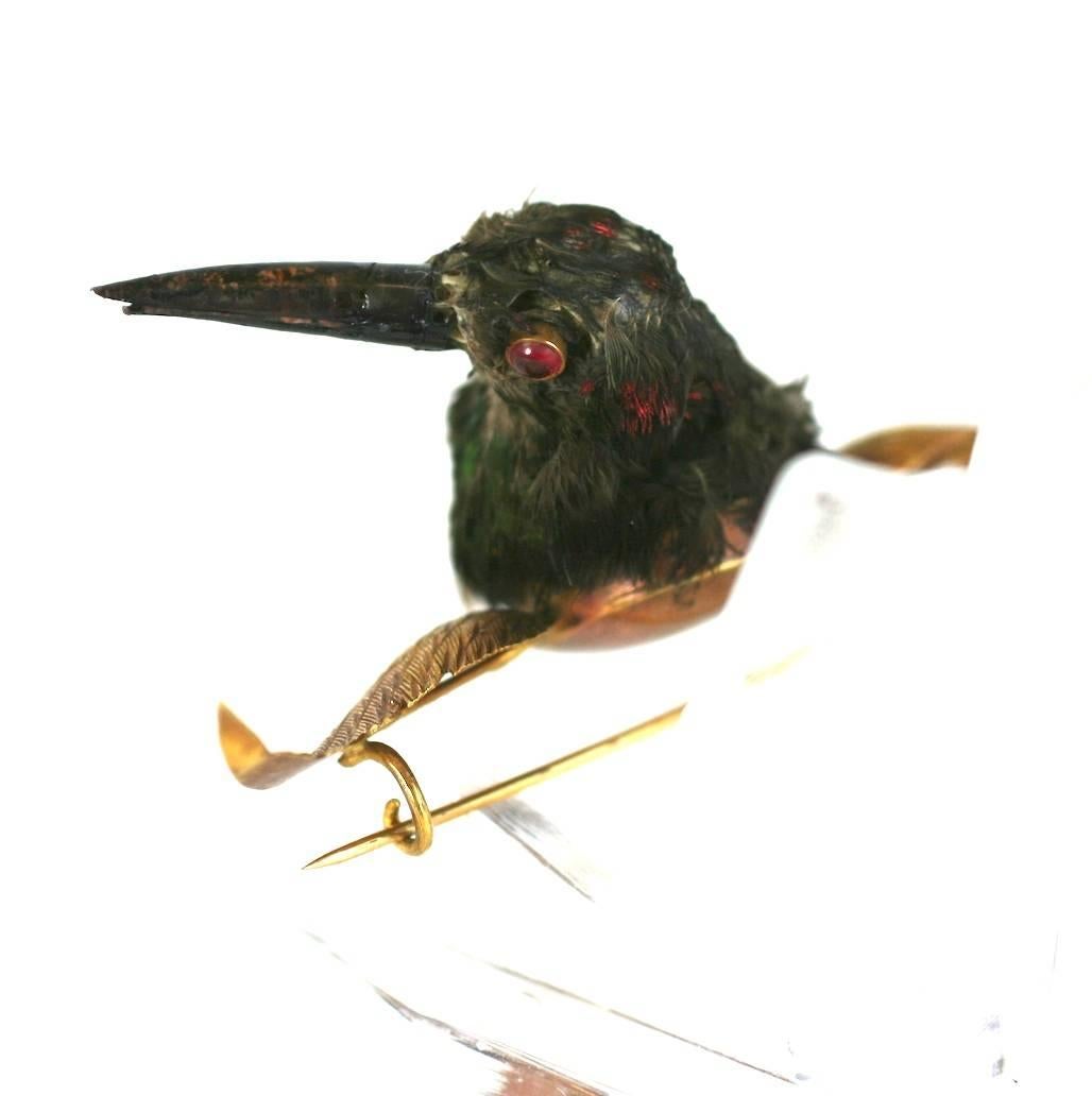 hemming bird