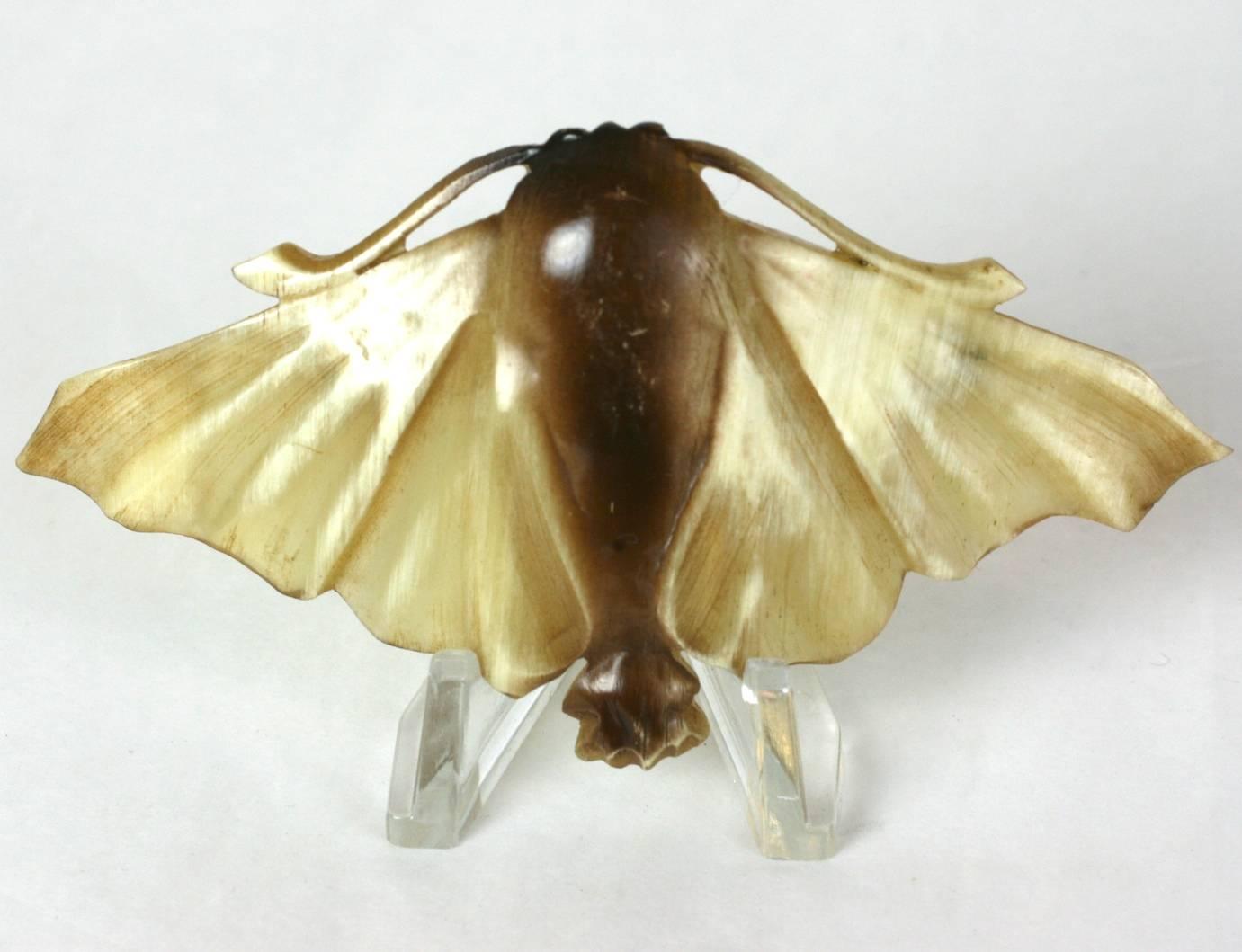 Large French Art Nouveau natural horn brooch, finely hand carved, depicting a large naturalistic night moth. The iridescence in the natural horn allows this to become the perfect material to bring this design to life. Hand carved with amazing