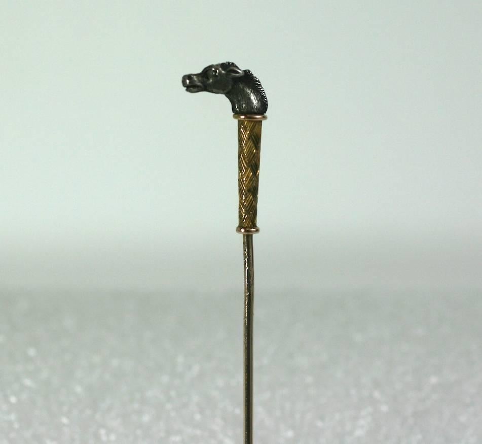 Femenino o masculino Chincheta victoriana con cabeza de caballo en venta