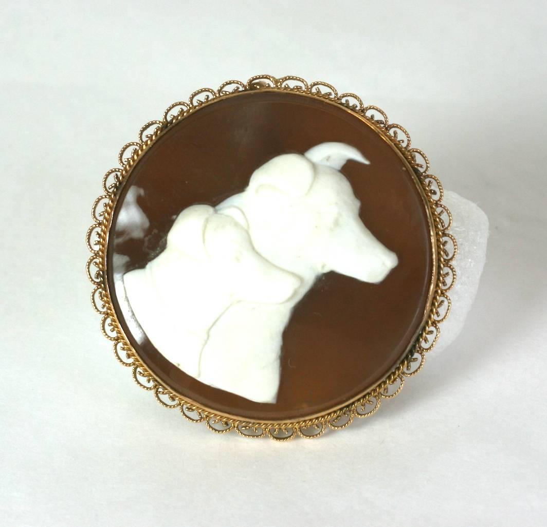 Charming and super unusual hand carved dog, shell cameo suite from the 1930's. Wonderful subject matter shows a pair of hounds carved into the shell brooch and matching earrings. 
Beautiful and finely detailed carving, all set in filigree 14k