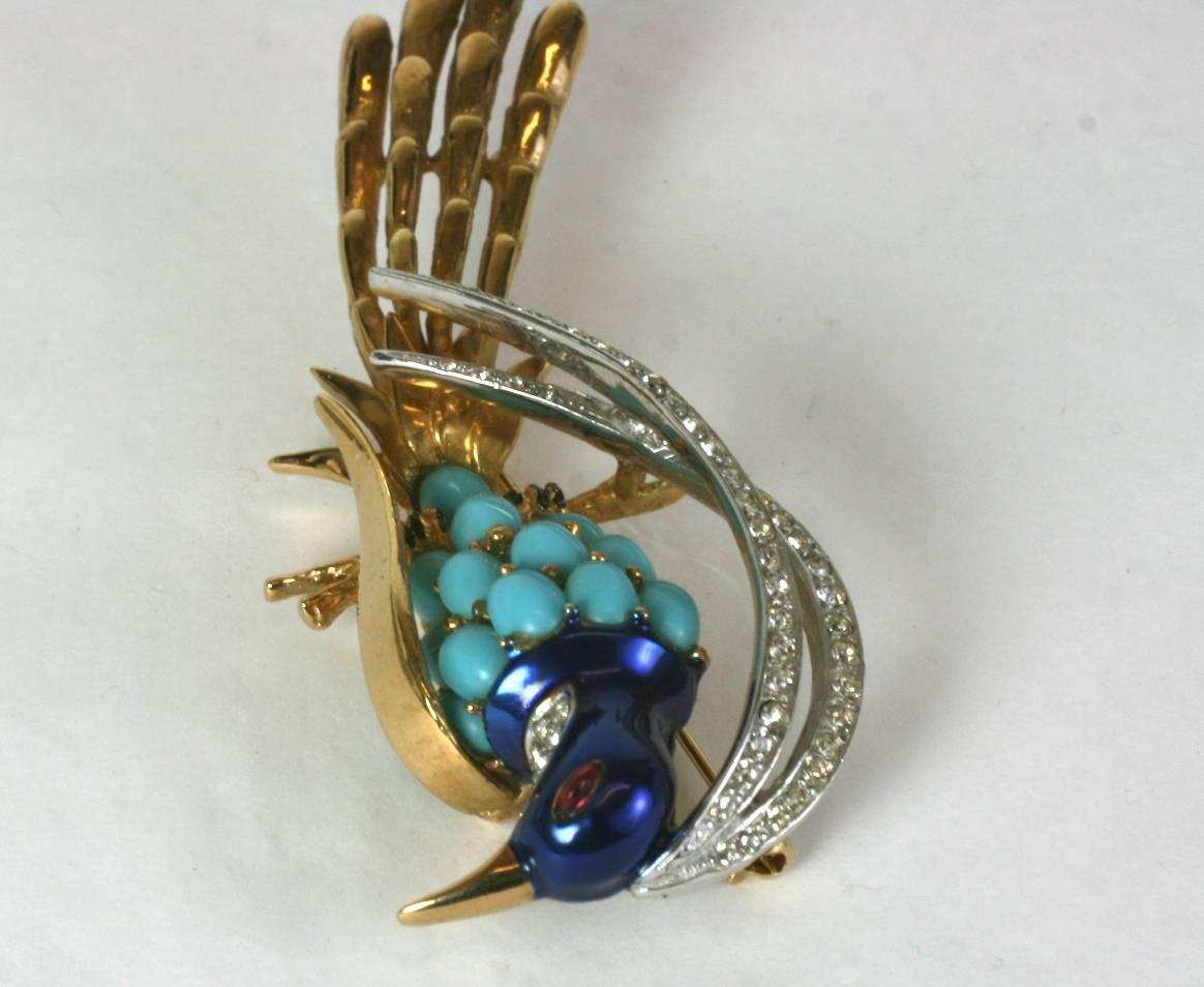 bird of paradise jewelry