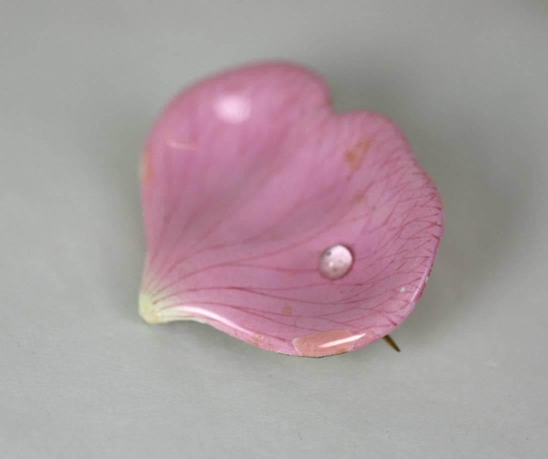 Victorian Rose Petal Brooch from the late 19th Century.  This is a highly unusual sentimental piece with a glass dew drop applied to the enamel. The enamel is hand painted and beautifully detailed and then applied onto a separate backing for the