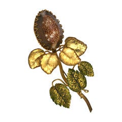 Countess Cis Sea Shell Brooch 2