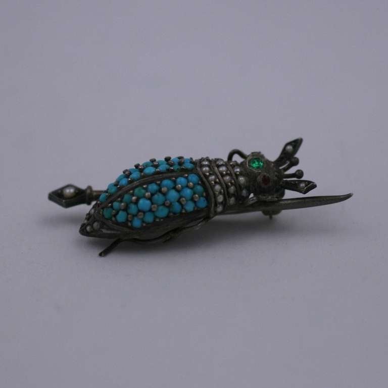 Round Cut Victorian Seed Pearl and Turquoise Bug For Sale