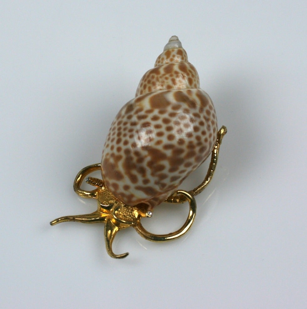 Kenneth Jay Lane's exotic snail brooch fashioned from a real shell and mounted onto a gilt body. 1960's USA. 3