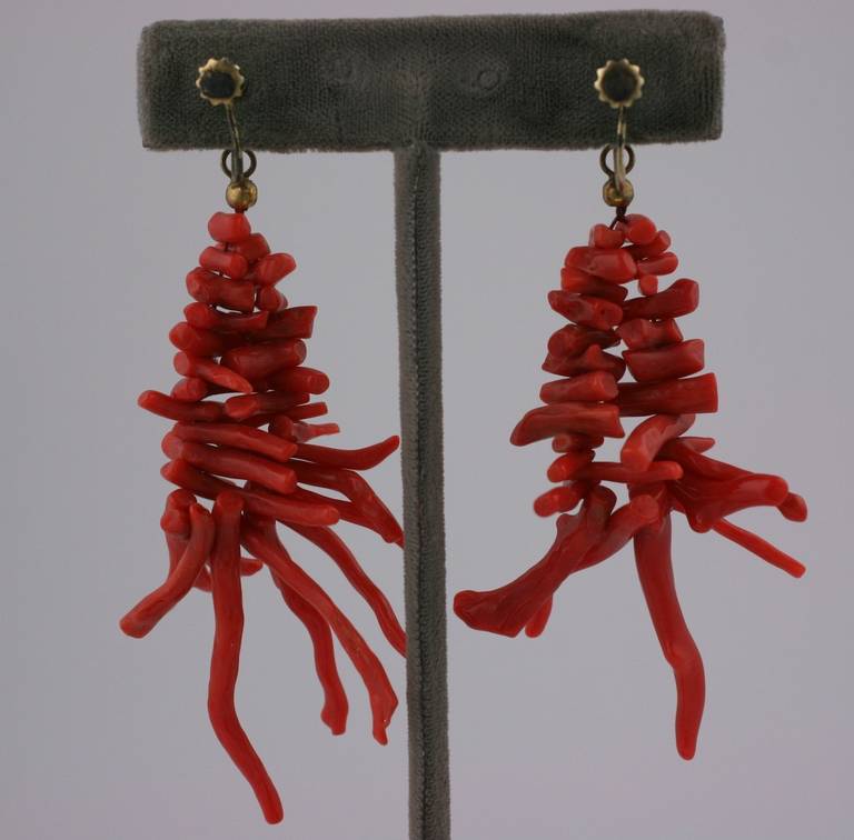 Attractive long coral branch earrings with screw back fittings with cab coral on ear. Set in 800 silver. One earring is slightly longer than the other but this is not noticeable when worn. , One 3