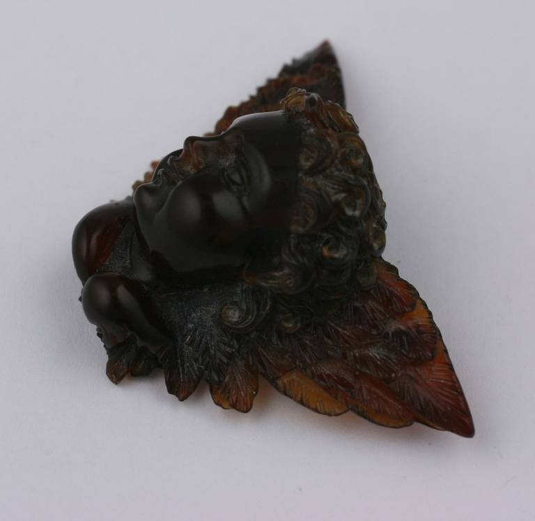 Charming Victorian cherub brooch hand carved in tortoiseshell. Late 19th Century work with fine detailing and high relief 3D modeling. There are 2 tiny chips on let edge of the wing but is not noticeable when worn. Very Good condition. US 1880.