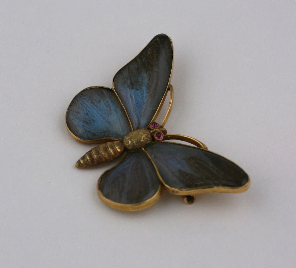 Wonderful Victorian butterfly brooch with extraordinary detailing. The wings are panels of rock crystal which encase genuine butterfly wings. The iridescence of the wings is captured under the rock crystal and is as crisp as when the piece was