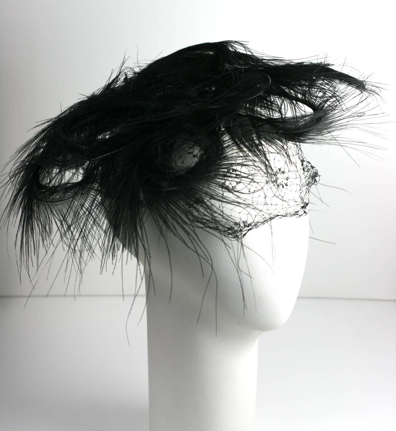 Black Egret Swirled Fascinator,  like a feathered whirligig drone spinning on your head. Super cool/cold 50's elegance attached to a small net veiling 