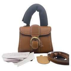 Delvaux Brillant Mini Surpique Vegetal Tan Rodeo Calfskin Bag Gold Hardware