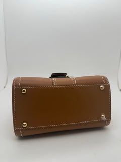 Delvaux Brillant Mini Surpique Vegetal Tan Rodeo Calfskin Bag Gold Hardware